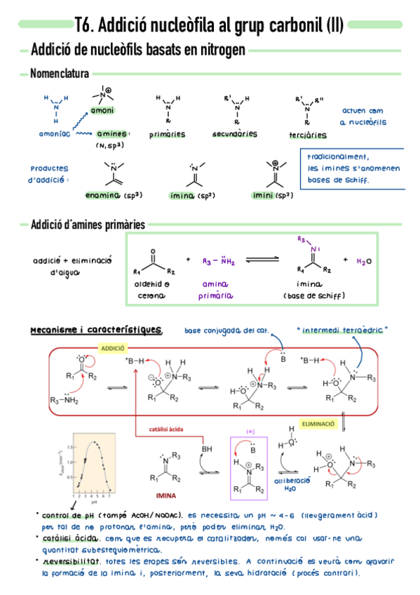 Miniatura del documento T6-Addicio-nucleofila-al-grup-carbonil-II.pdf