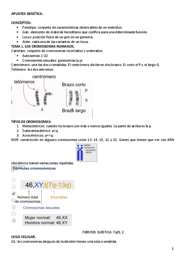Miniatura del documento APUNTES-GENETICA.pdf