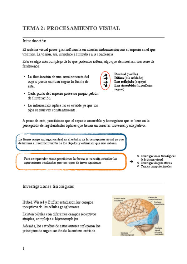 Miniatura del documento TEMA-2-PROCESAMIENTO-VISUAL-.pdf