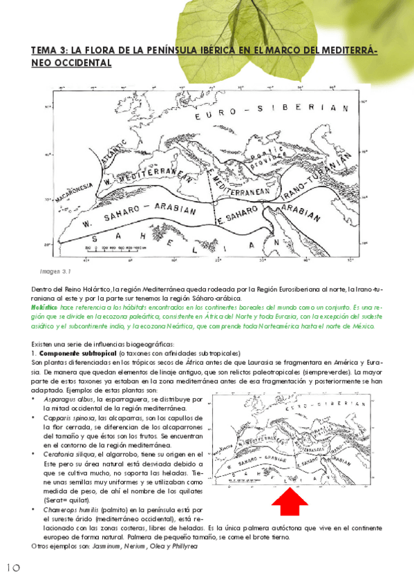 Miniatura del documento ABV-Tema-3.pdf