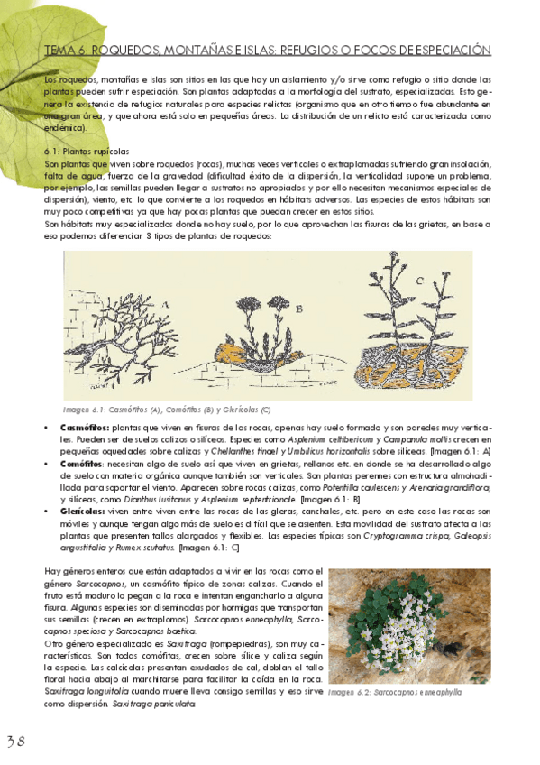Miniatura del documento ABV-Tema-6.pdf