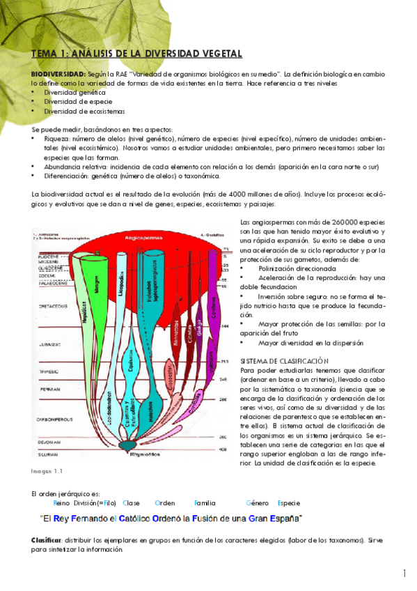 Miniatura del documento ABV-Tema-1.pdf