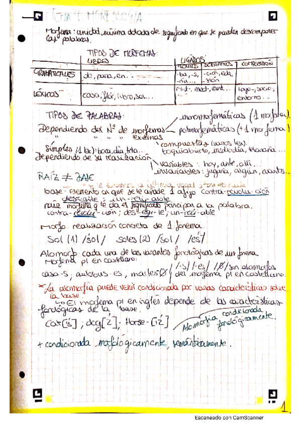 Miniatura del documento tema-4-morfologia.pdf