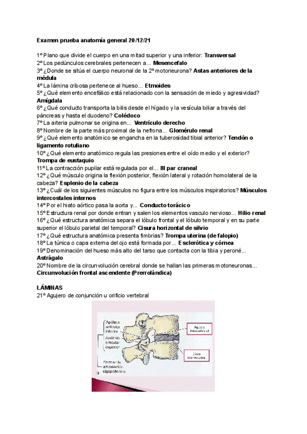 Miniatura del documento Examen-prueba-anatomia-general-201221.pdf