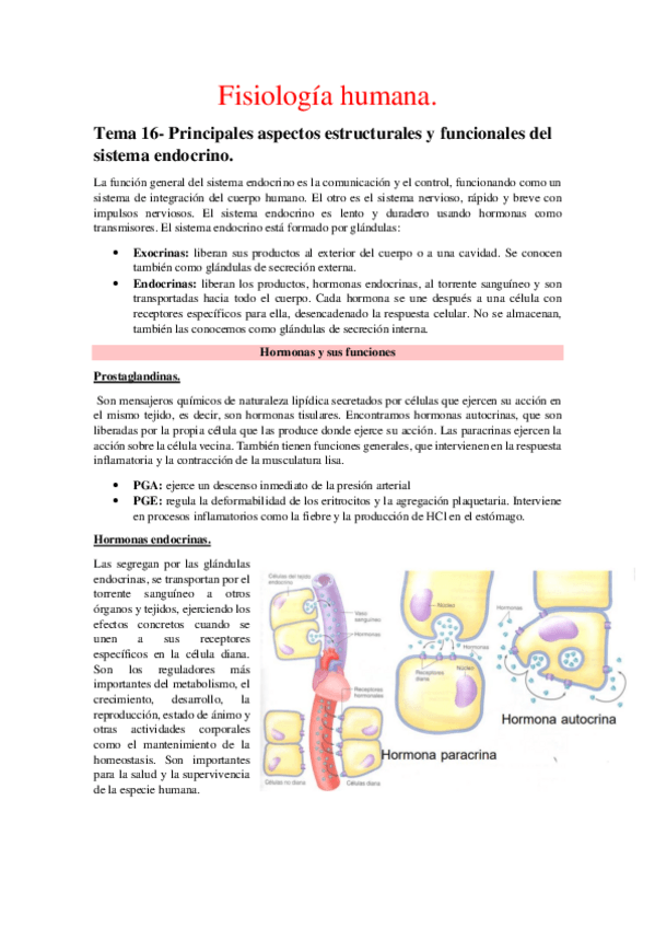 Miniatura del documento Fisiologia-humana-2-parcial-mio.pdf