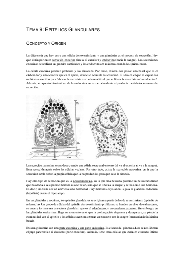Miniatura del documento Tema-9-Epitelios-Glandulares-C-definitivos.pdf