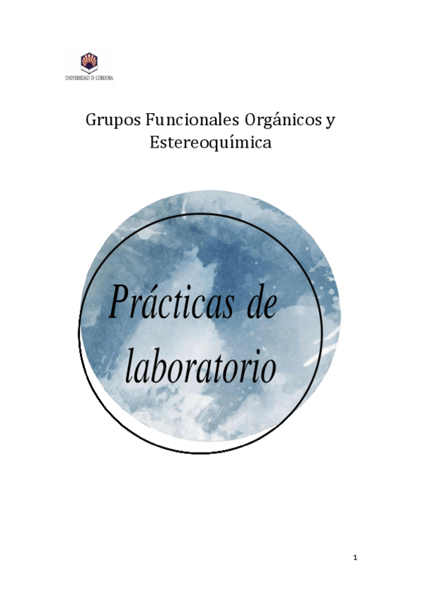 Miniatura del documento Memoria-corregida-GFOE.pdf