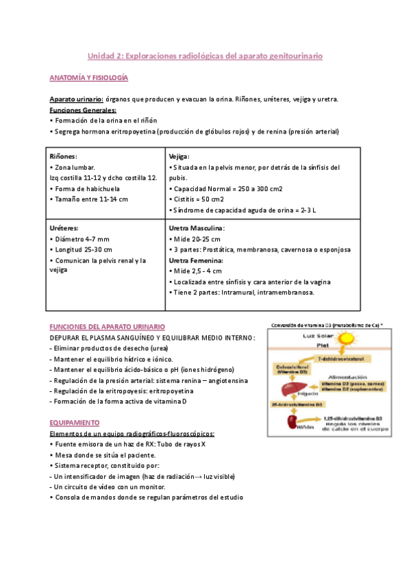 Miniatura del documento T2-RE.pdf