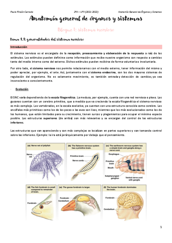 Miniatura del documento Anato-T1A.pdf