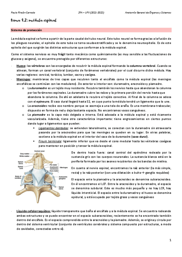 Miniatura del documento Anato-T1B.pdf