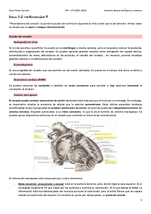 Miniatura del documento Anato-T3B.pdf