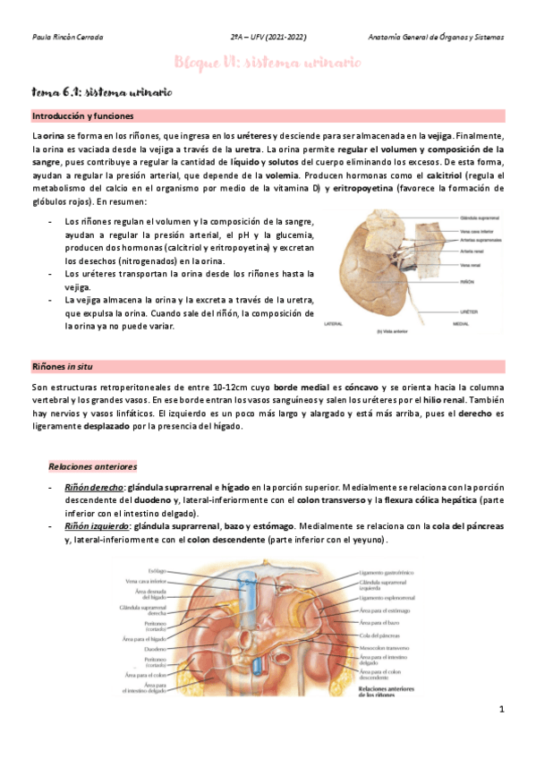 Miniatura del documento Anato-T6.pdf