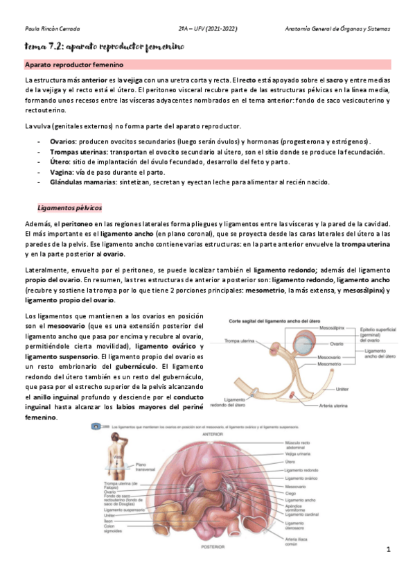 Miniatura del documento Anato-T7B.pdf