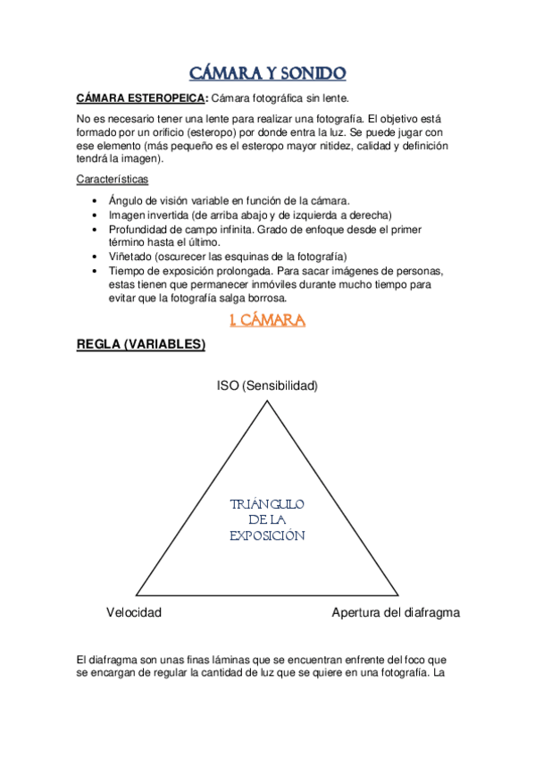 Miniatura del documento Camara-y-sonido.pdf