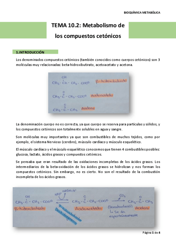 Miniatura del documento TEMA-10.pdf