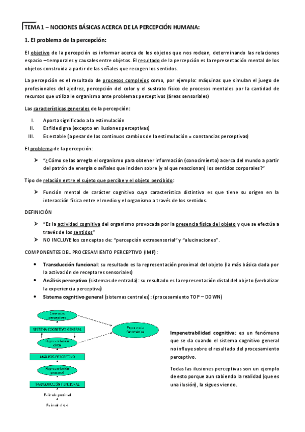 Miniatura del documento APUNTES-FINAL-PERCEPCION-Humberto.pdf