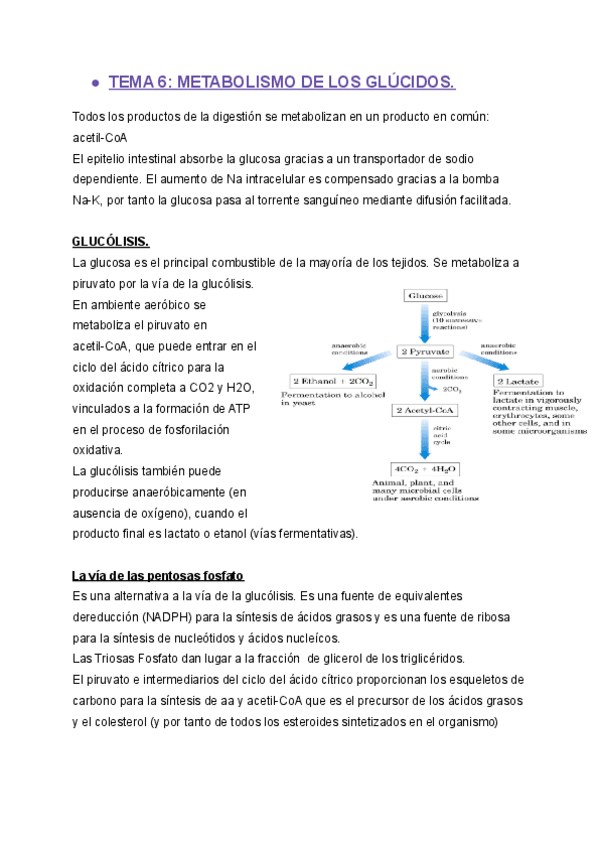 Miniatura del documento TEMA-6-BQ-II.pdf