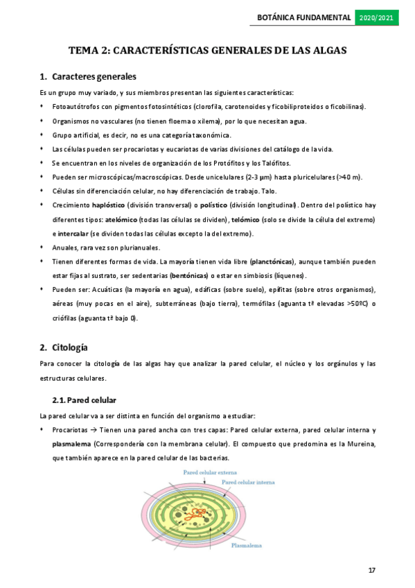 Miniatura del documento Tema-2.pdf