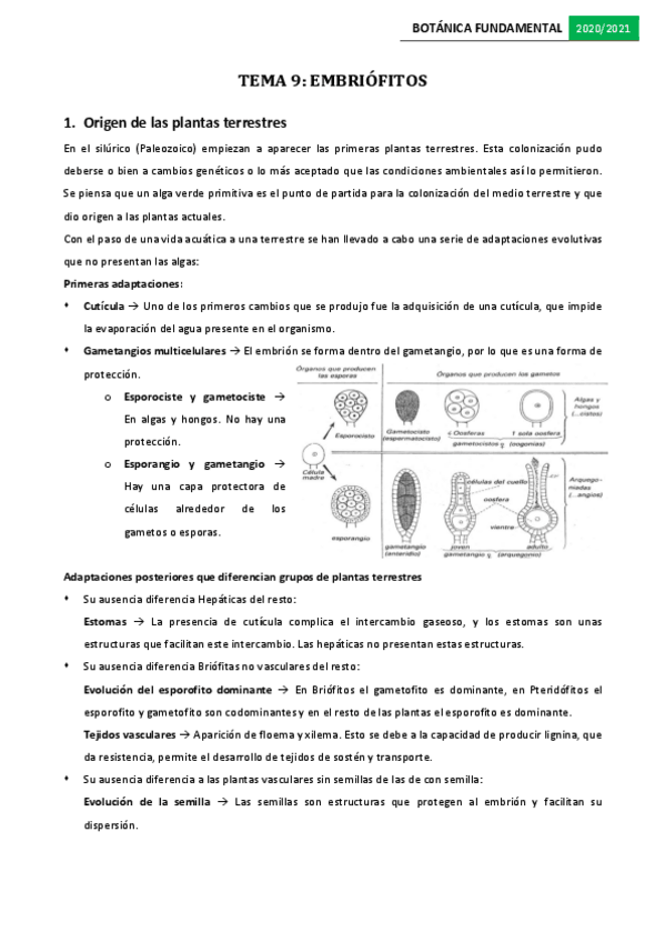 Miniatura del documento Tema-9.pdf