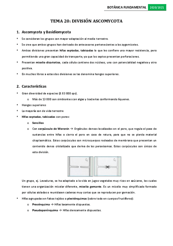 Miniatura del documento Tema-20.pdf