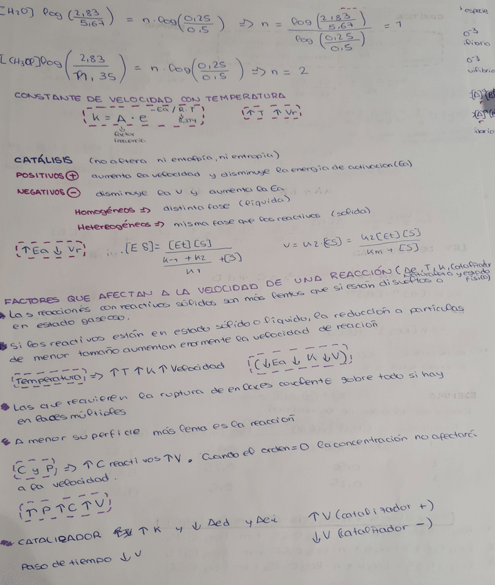 Miniatura del documento 20211226170847.jpg