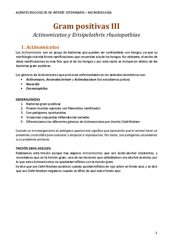 Miniatura del documento Gram-positivas-III.pdf