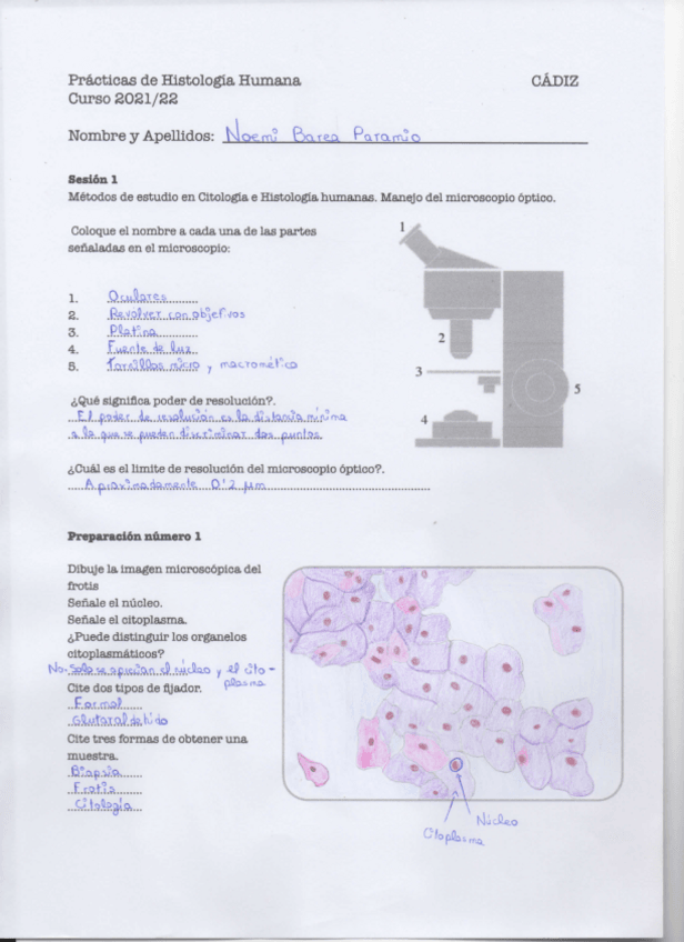 Miniatura del documento Cuadernillo-organografia.pdf