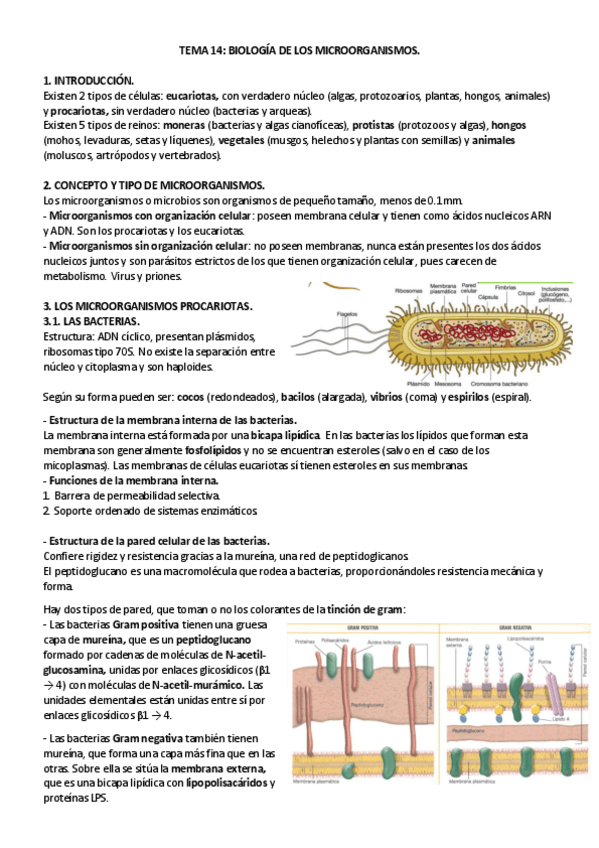 Miniatura del documento TEMA-14.pdf