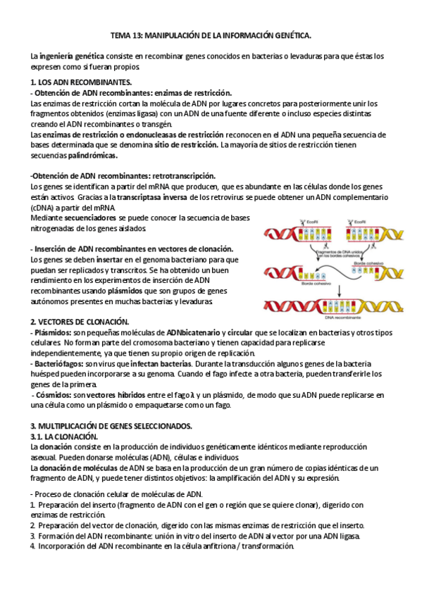 Miniatura del documento TEMA-13.pdf