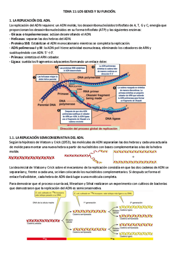 Miniatura del documento TEMA-11.pdf