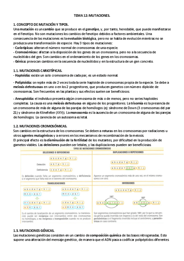 Miniatura del documento TEMA-12.pdf