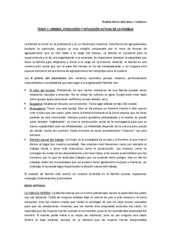 Miniatura del documento APUNTES TS FAMILIA I.pdf