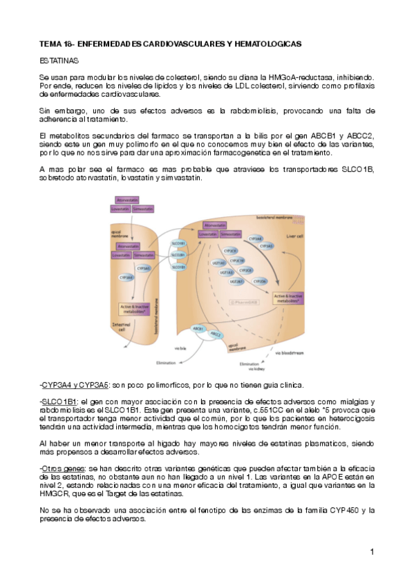 Miniatura del documento TEMA-18-ENFERMEDADES-CARDIOVASCULARES-Y-HEMATOLOGICAS-.pdf