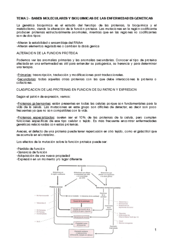 Miniatura del documento TEMA-3-BASES-MOLECULARES-Y-BIOQUIMICAS-DE-LAS-ENFERMEDADES-GENETICAS-.pdf