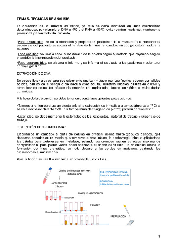 Miniatura del documento TEMA-5-TECNICAS-DE-ANALISIS-.pdf