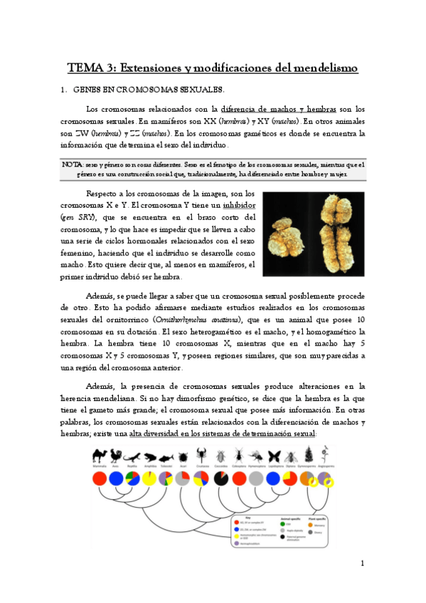 Miniatura del documento TEMA-3.pdf