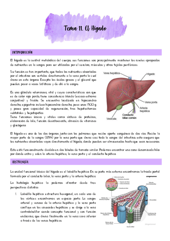 Miniatura del documento Tema-11.pdf