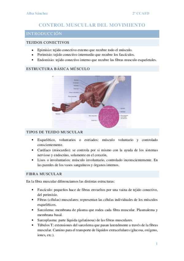 Miniatura del documento Tema-4-Control-muscular-del-movimiento.pdf