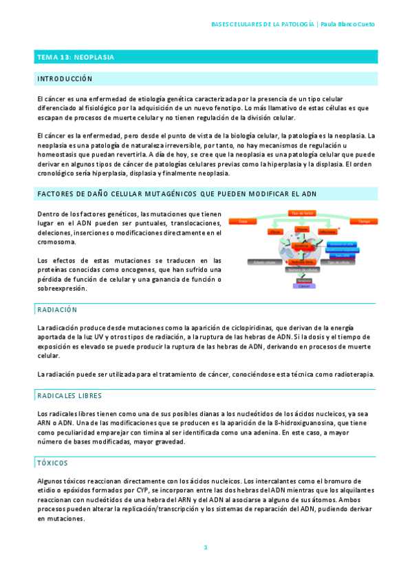 Miniatura del documento TEMA-13.pdf