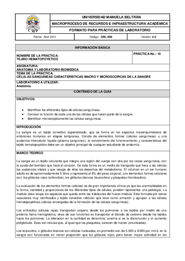 Miniatura del documento GUIA10.pdf