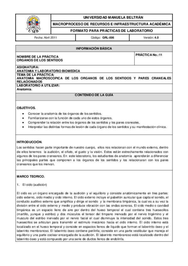 Miniatura del documento GUIA11.pdf