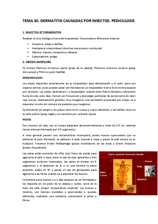 Miniatura del documento TEMA-30.pdf