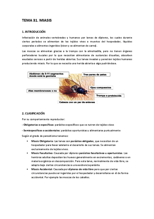 Miniatura del documento TEMA-31.pdf