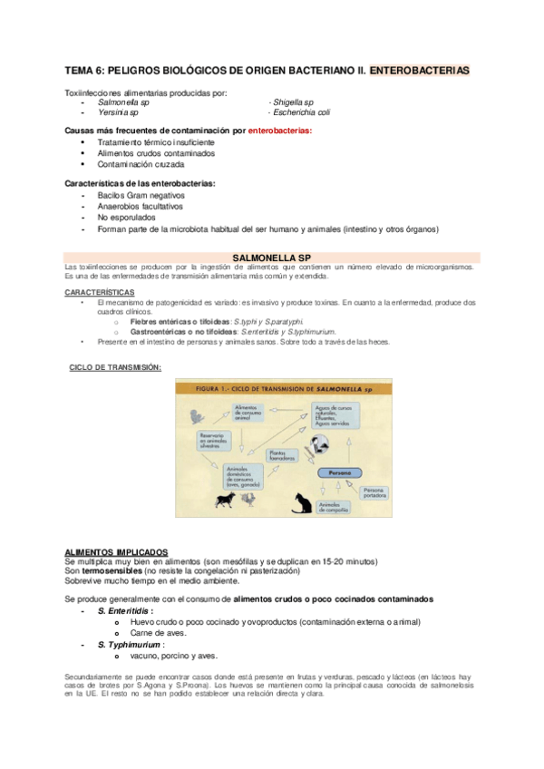 Miniatura del documento T6.pdf