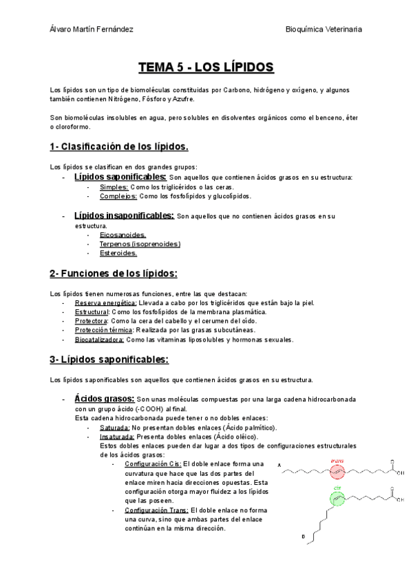 Miniatura del documento TEMA-5-LOS-LIPIDOS.pdf