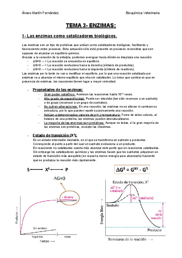 Miniatura del documento TEMA-3-ENZIMAS.pdf