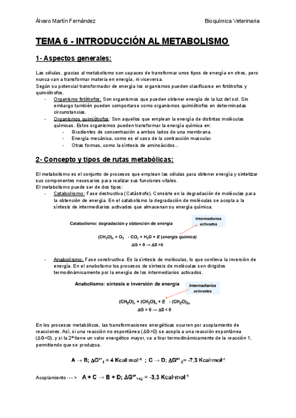 Miniatura del documento TEMA-6-INTRODUCCION-AL-METABOLISMO.pdf