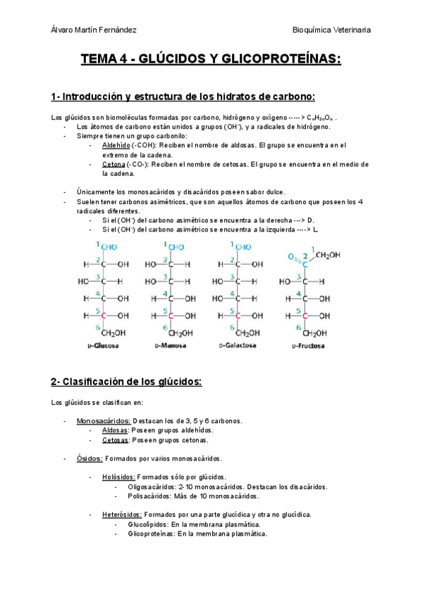 Miniatura del documento TEMA-4-GLUCIDOS-Y-GLICOPROTEINAS.pdf