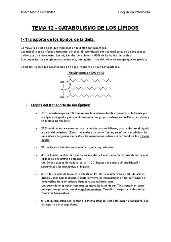 Miniatura del documento TEMA-12-CATABOLISMO-DE-LOS-LIPIDOS.pdf