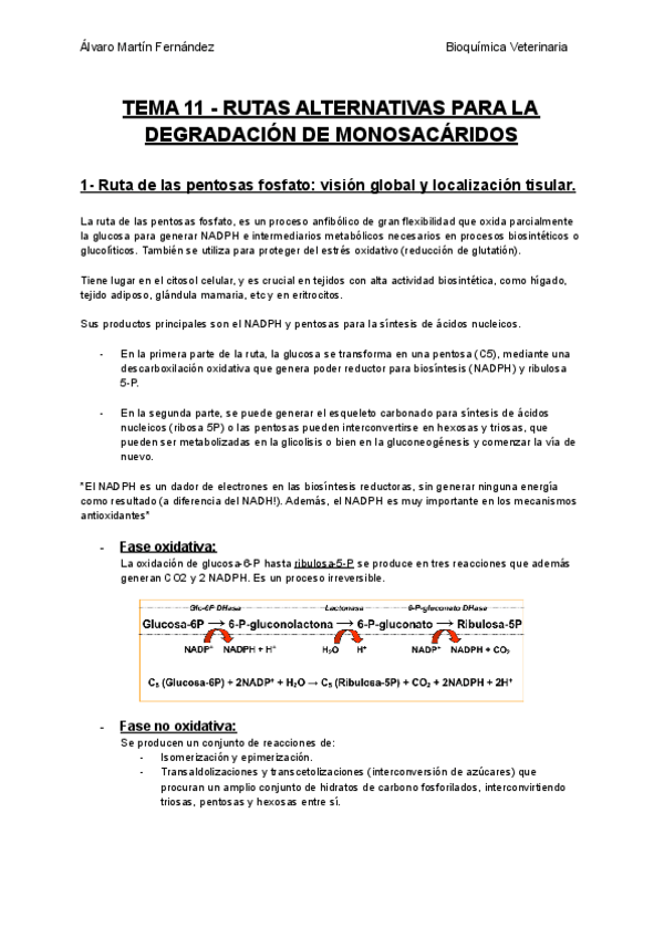 Miniatura del documento TEMA-11-RUTAS-ALTERNATIVAS-PARA-LA-DEGRADACION-DE-MONOSACARIDOS.pdf